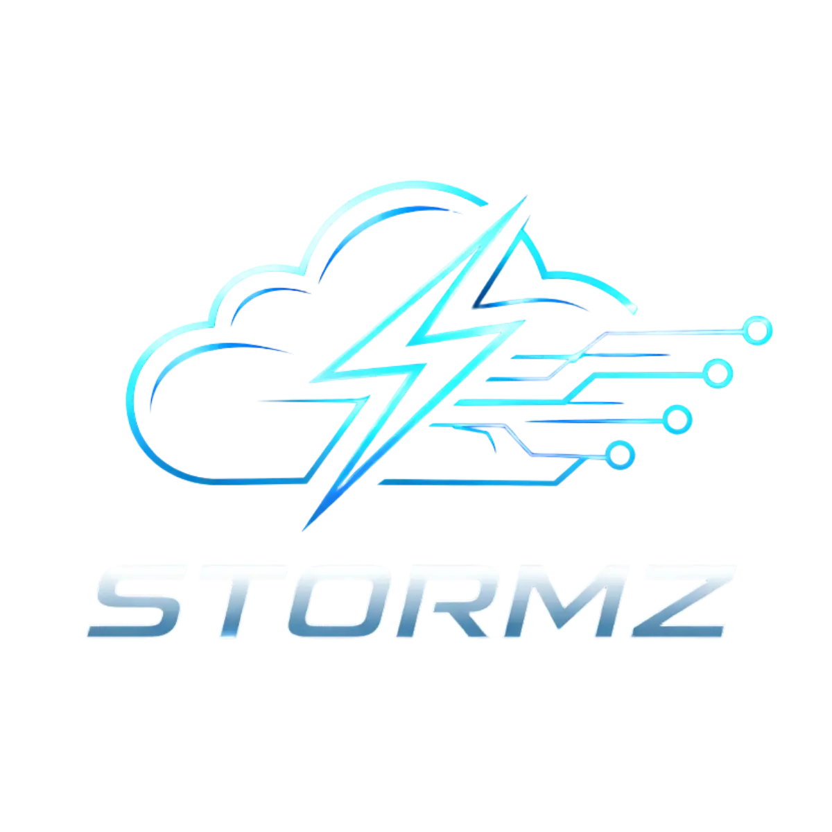 Chocolate Spice Cake